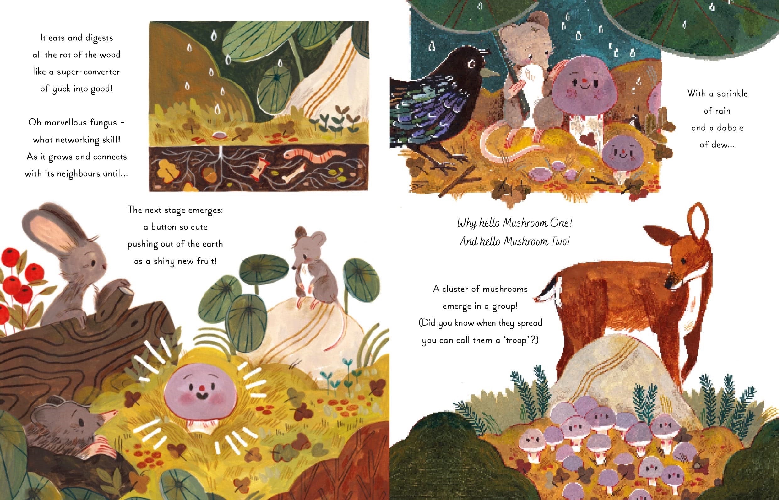 5 Minute Nature Stories (Magic Cat)
