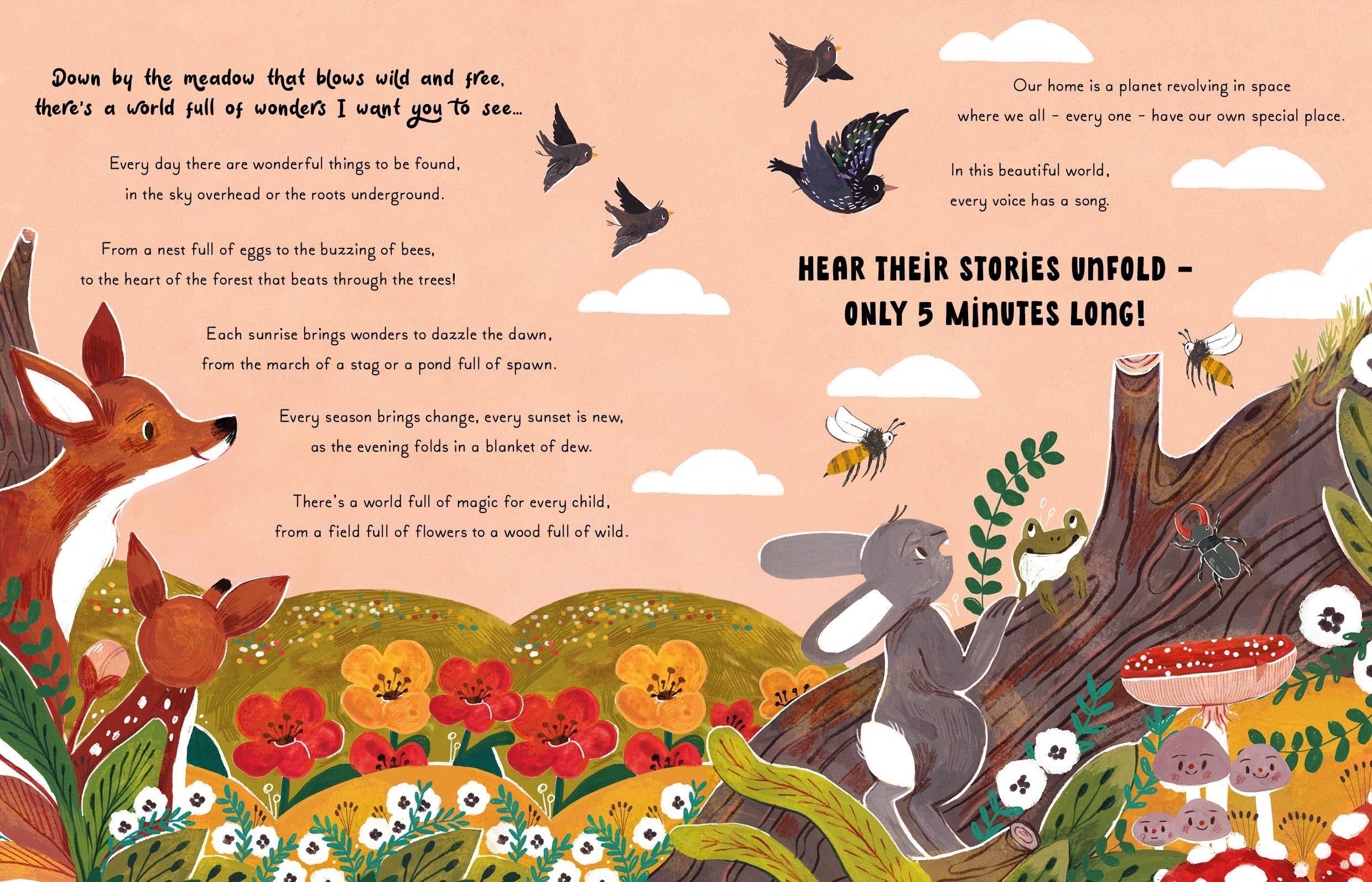 5 Minute Nature Stories (Magic Cat)