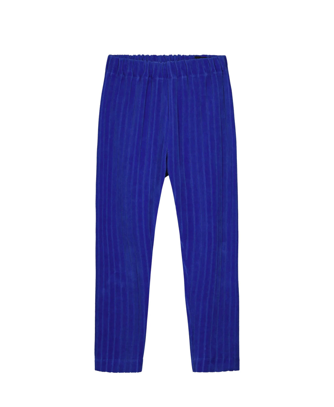 Mainio Velour Pants in Dazzling Blue
